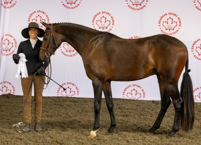 Crown Ridge Gryffindor