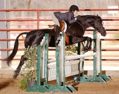 Northwinds A Bit Painted