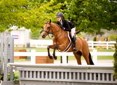 Willow Ridge So Elite