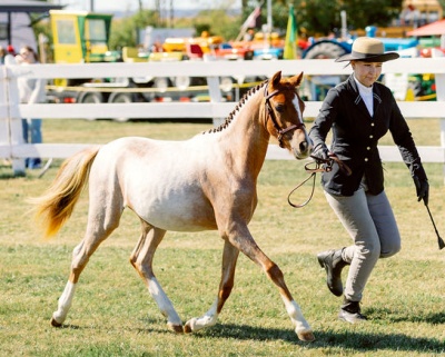 Crown Ridge Cinnamon Latte