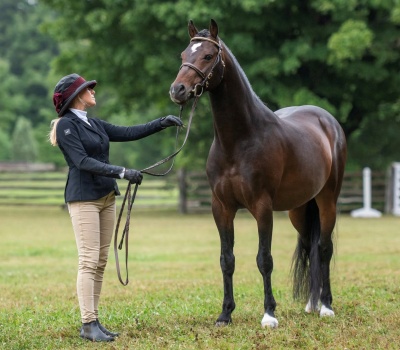 Crown Ridge Indiana Joves