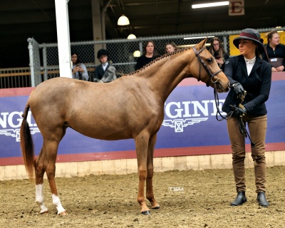 Crown Ridge Magic Spell